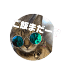 うちのチャコの気持ち（個別スタンプ：3）