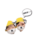 RINO！！（個別スタンプ：15）