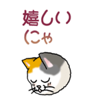 猫大好き！（大）その15（個別スタンプ：12）