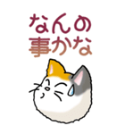 猫大好き！（大）その15（個別スタンプ：19）