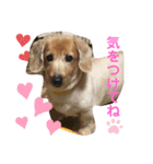 カイリ3（個別スタンプ：1）