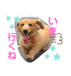カイリ3（個別スタンプ：3）