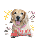 カイリ3（個別スタンプ：5）