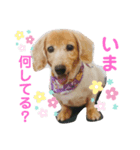カイリ3（個別スタンプ：8）