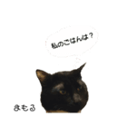 くろねこまもりん3（個別スタンプ：4）