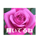花々からの励まし（個別スタンプ：3）