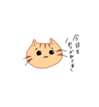 なぐさめねこ（個別スタンプ：1）
