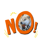 あまのじゃくなしば犬（個別スタンプ：4）