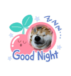 あまのじゃくなしば犬（個別スタンプ：9）