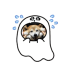 あまのじゃくなしば犬（個別スタンプ：11）