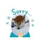 あまのじゃくなしば犬（個別スタンプ：15）