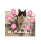 トトた（個別スタンプ：4）