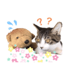 トトた（個別スタンプ：5）