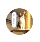 トトた（個別スタンプ：8）
