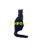 ニロスタンプ（個別スタンプ：5）
