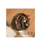 モモンガのむぎ（個別スタンプ：1）
