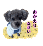 わが家のなっちゃんスタンプ（個別スタンプ：8）