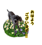 わが家のなっちゃんスタンプ（個別スタンプ：11）