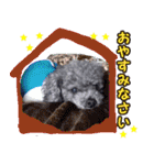 わが家のなっちゃんスタンプ（個別スタンプ：12）