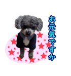 わが家のなっちゃんスタンプ（個別スタンプ：13）