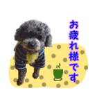 わが家のなっちゃんスタンプ（個別スタンプ：14）
