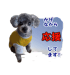 わが家のなっちゃんスタンプ（個別スタンプ：15）