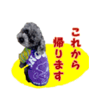 わが家のなっちゃんスタンプ（個別スタンプ：17）