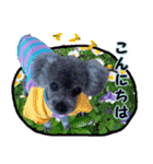 わが家のなっちゃんスタンプ（個別スタンプ：18）