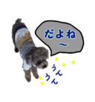わが家のなっちゃんスタンプ（個別スタンプ：21）