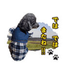 わが家のなっちゃんスタンプ（個別スタンプ：23）