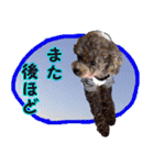 わが家のなっちゃんスタンプ（個別スタンプ：24）