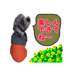 わが家のなっちゃんスタンプ（個別スタンプ：26）