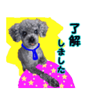 わが家のなっちゃんスタンプ（個別スタンプ：32）