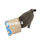ルーナスタンプ（個別スタンプ：11）