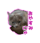 はちゅ2（個別スタンプ：2）