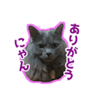 はちゅ2（個別スタンプ：4）