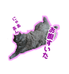 はちゅ2（個別スタンプ：6）