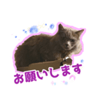 はちゅ2（個別スタンプ：7）