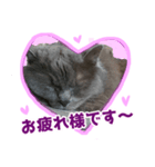 はちゅ2（個別スタンプ：8）
