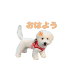 りんくんすきすき倶楽部（個別スタンプ：1）