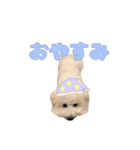 りんくんすきすき倶楽部（個別スタンプ：2）