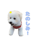 りんくんすきすき倶楽部（個別スタンプ：3）