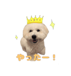 りんくんすきすき倶楽部（個別スタンプ：4）