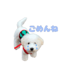りんくんすきすき倶楽部（個別スタンプ：5）