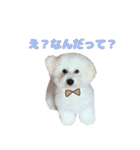 りんくんすきすき倶楽部（個別スタンプ：7）