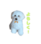 りんくんすきすき倶楽部（個別スタンプ：8）