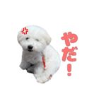 りんくんすきすき倶楽部（個別スタンプ：9）