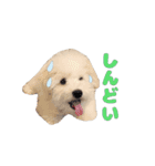 りんくんすきすき倶楽部（個別スタンプ：12）