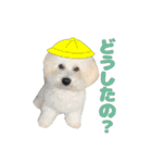 りんくんすきすき倶楽部（個別スタンプ：13）