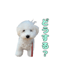 りんくんすきすき倶楽部（個別スタンプ：14）